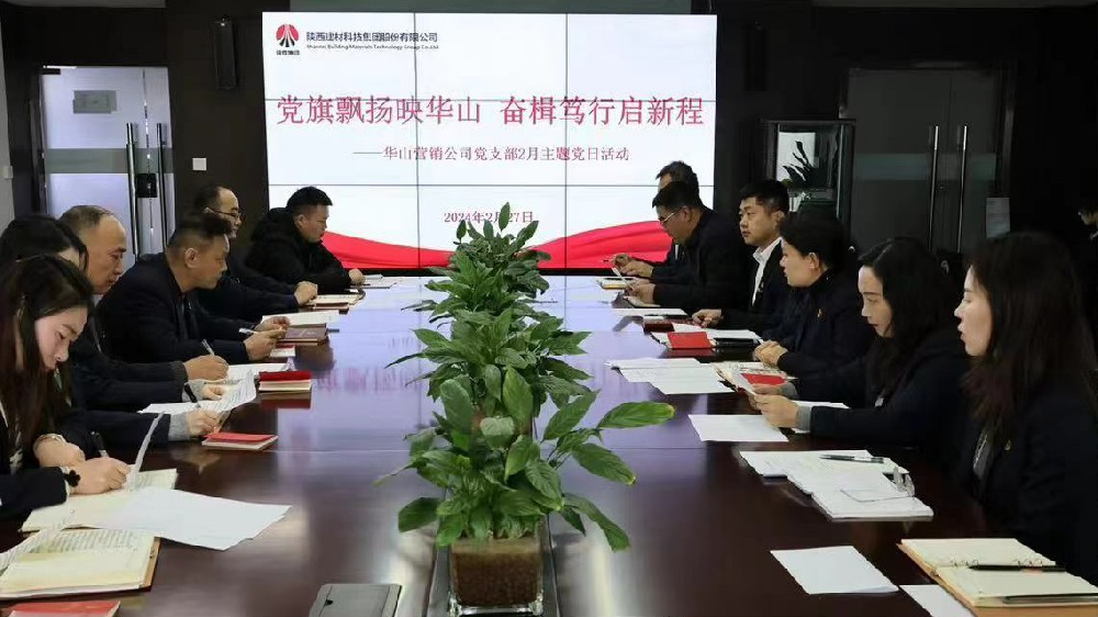 華山營銷公司黨支部開展“黨旗飄揚映華山 奮楫篤行啟新程”主題黨日活動